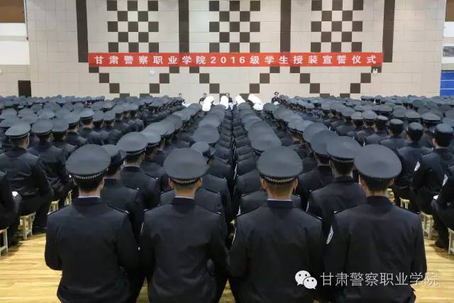 图片13.png
