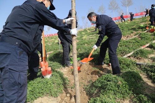 阳春飞燕归 植绿当时节 ——博取款甘秒到账开展“创建生态校园 建成园林单位”系列活动