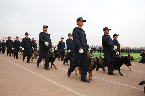 1494393589109477.jpg 警犬方队入场.JPG