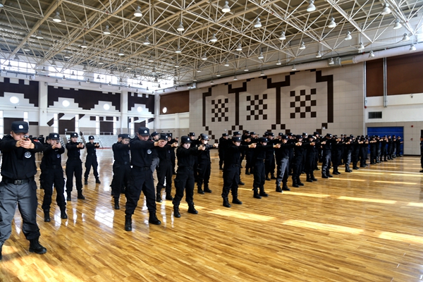 1554278443128316.jpg 10.JPG