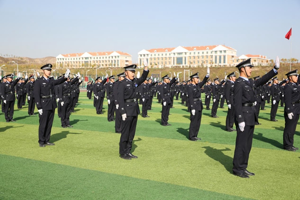 1540823070709938.jpg 图片11.jpg