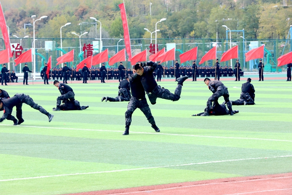 1761041188271960.jpg 11.JPG